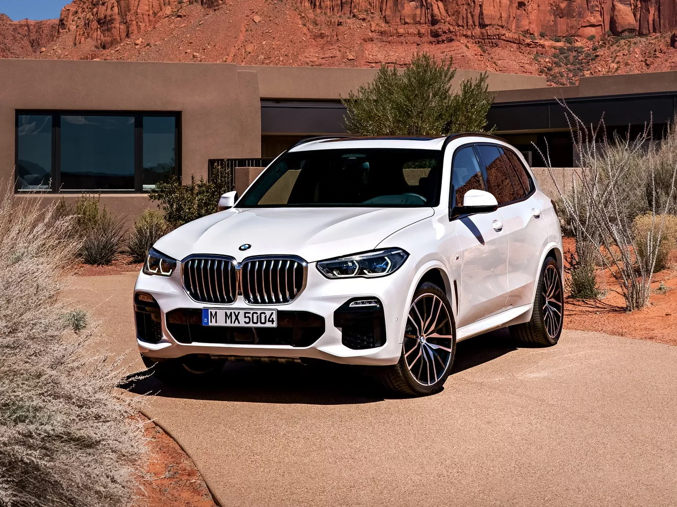 Фото экстерьера BMW X5  IV (G05) 2018 -  2024 
                                            