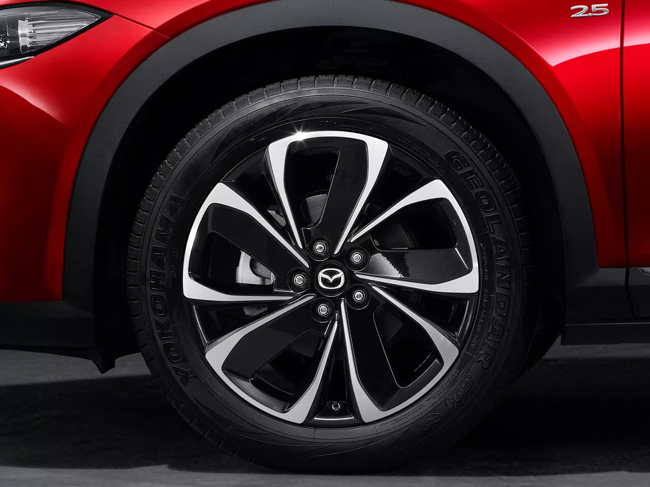 Фото дисков Mazda CX-4  I Рестайлинг 2019 -  2024 
                                            