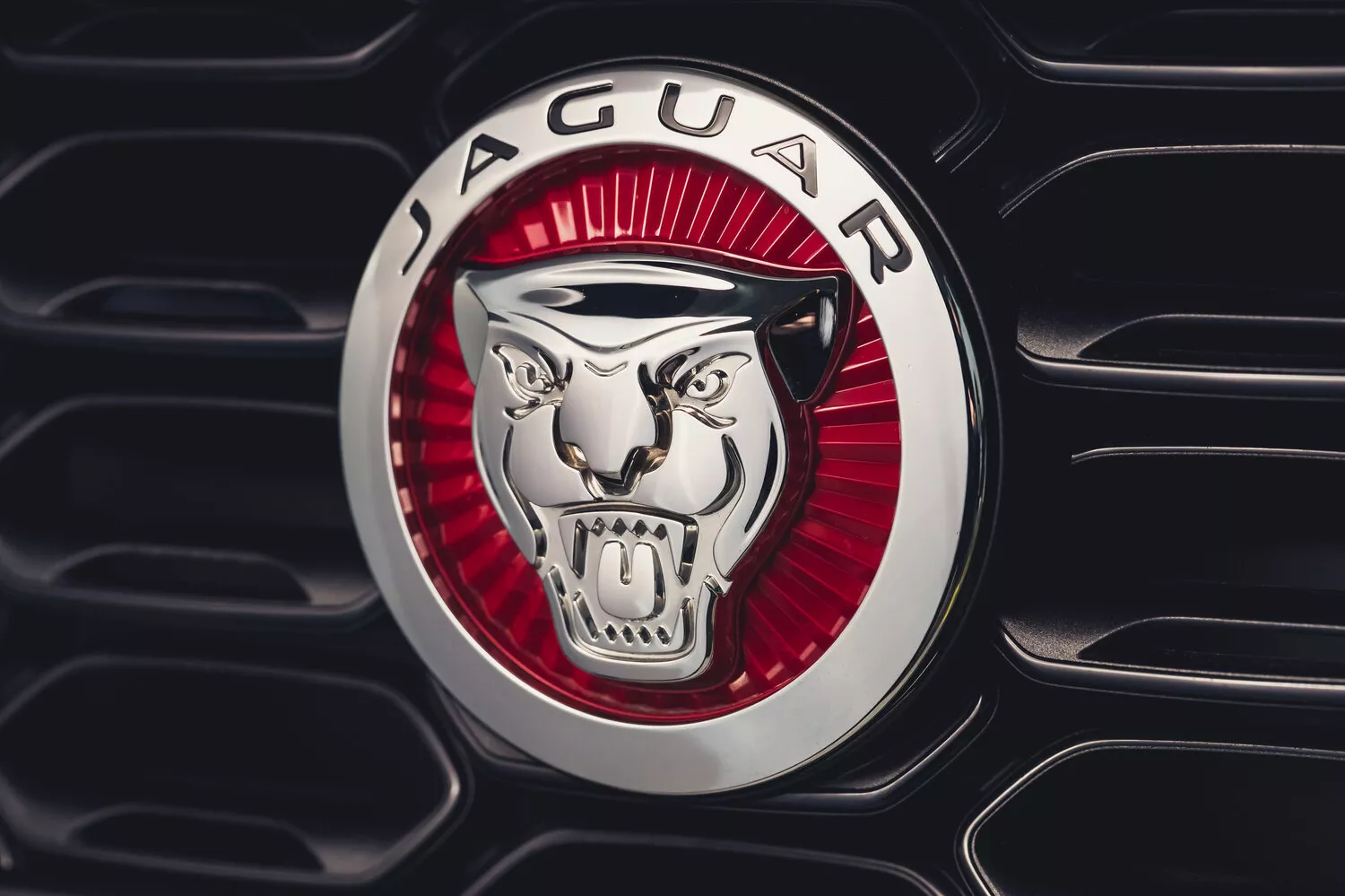 Фото интерьера Jaguar F-Type  I Рестайлинг 2 2019 -  2024 
                                            