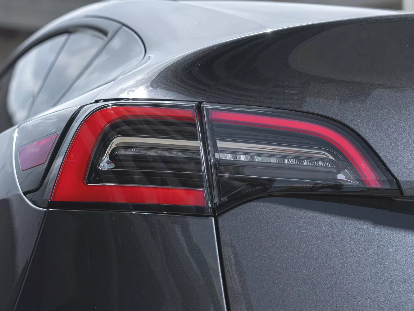Фото задних фонорей Tesla Model Y  I 2020 -  2024 
                                            
