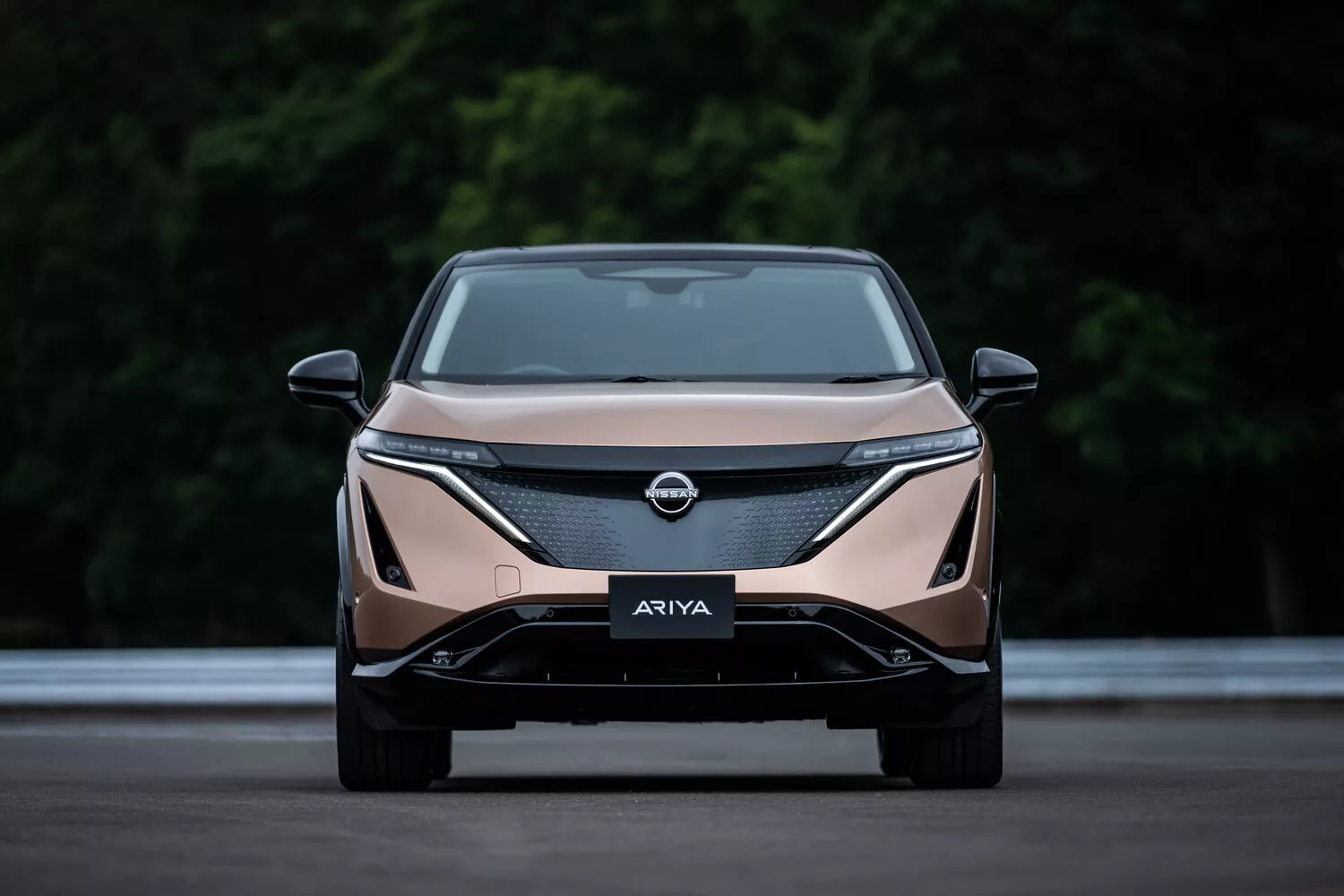 Фото спереди Nissan Ariya  I 2020 -  2024 
                                            