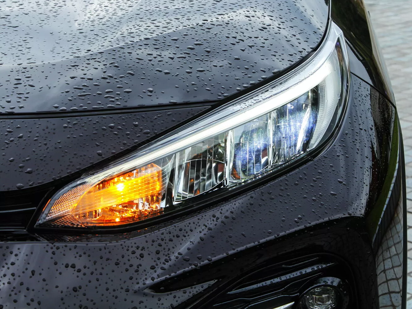 Фото передних фар Toyota Wildlander   2020 -  2024 
                                            