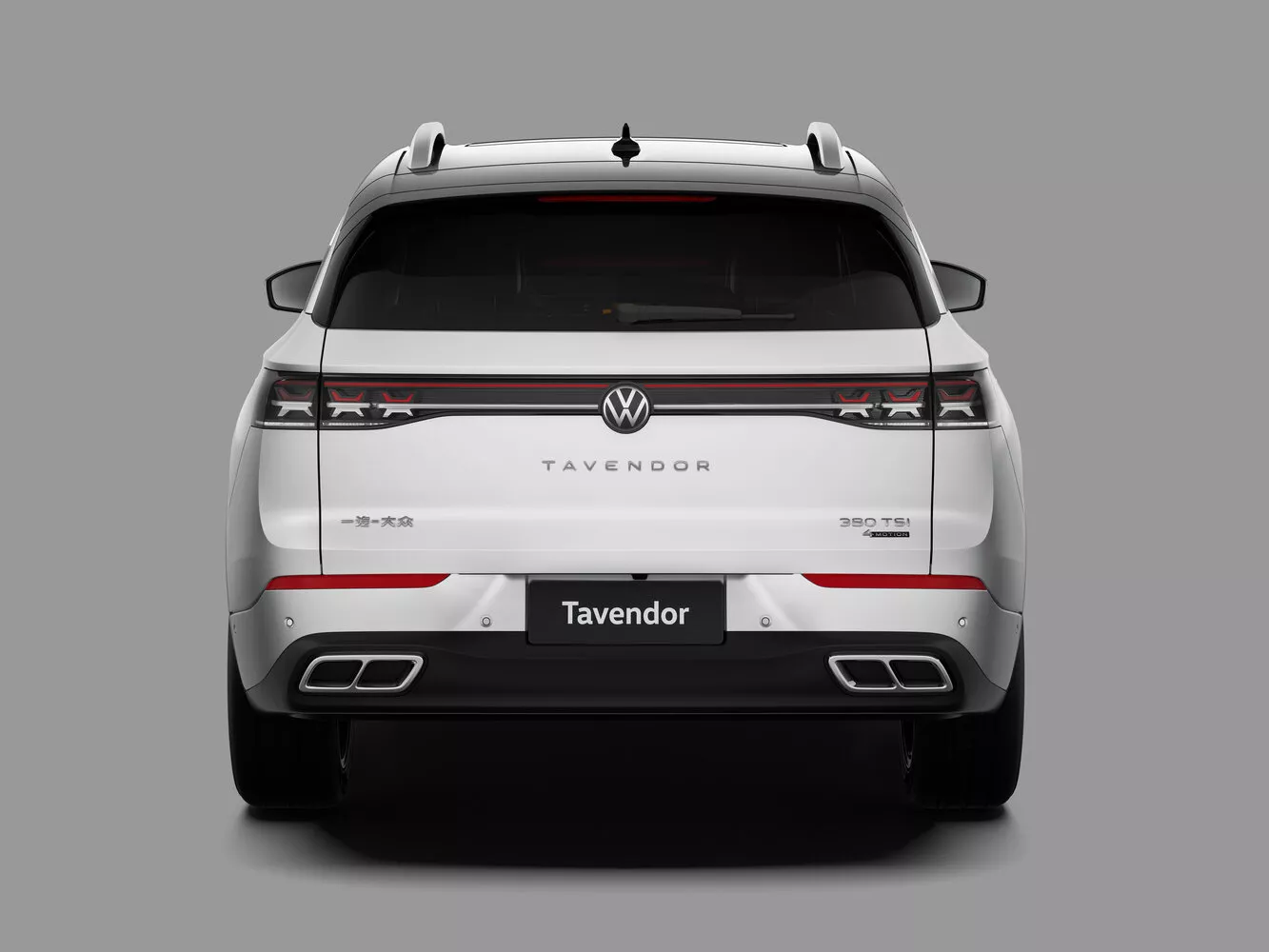 Фото сзади Volkswagen Tavendor   2022 -  2024 
                                            