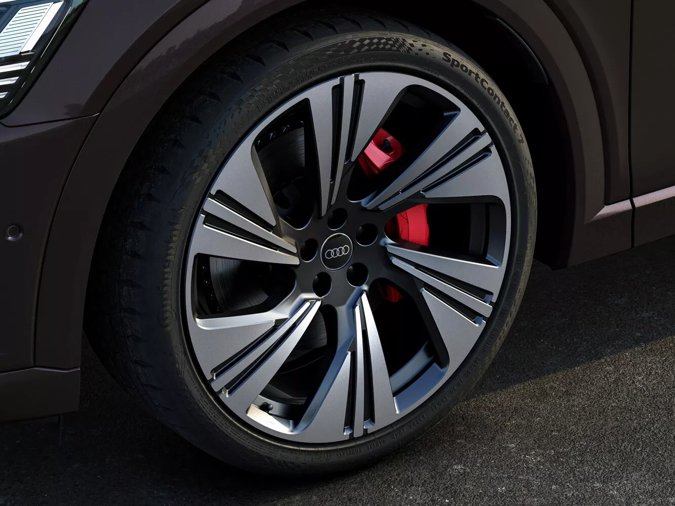 Фото дисков Audi Q8 Sportback e-tron   2022 -  2024 
                                            